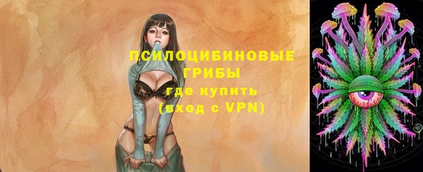 не бодяженный Кукмор