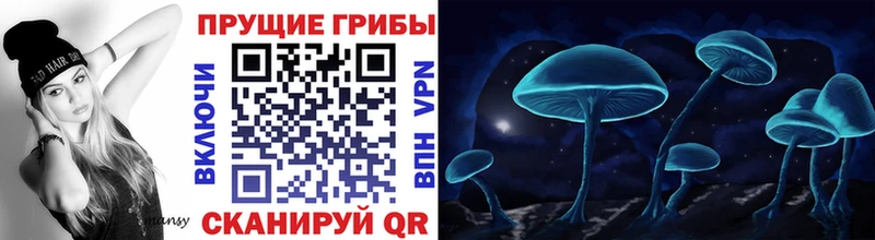 Псилоцибиновые грибы Magic Shrooms  где купить наркотик  Лосино-Петровский 